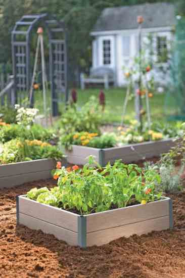Gardener’s Supply Company (gardeners.com) offers raised beds made of recycled wood and plastic, perfect for raising produce in suburban lawns.